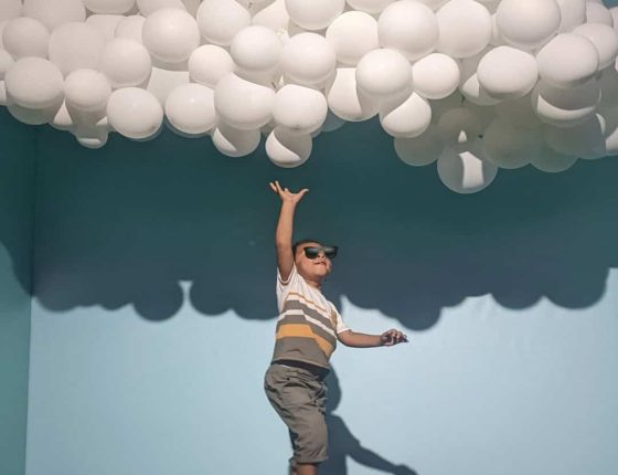 PHOTO LA CARTE CADEAU - OFFRIR MA NANNIE +.001